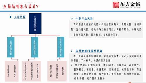 资产证券化热点产品信用评级实务与案例分析